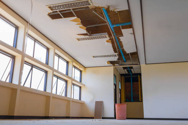 Best Carpet water damage restoration  in Orinda, CA