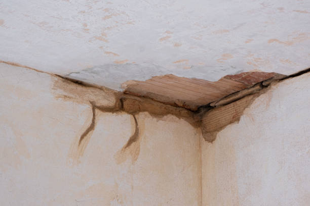  Orinda, CA Water damage restoration Pros