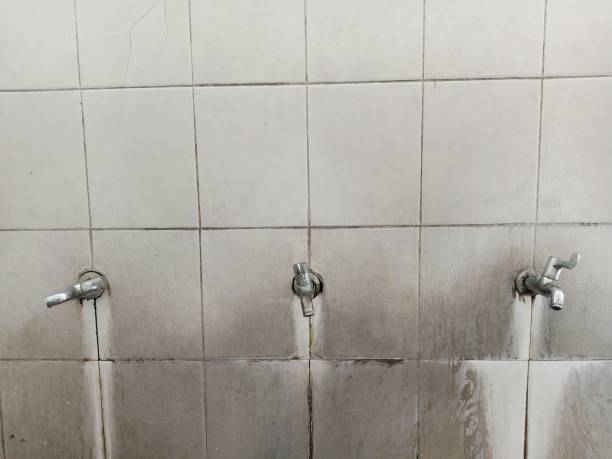 Best Fire Damage Restoration  in Orinda, CA