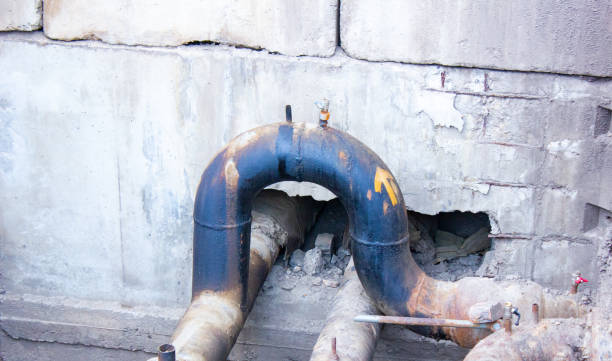 Best Professional water damage repair  in Orinda, CA