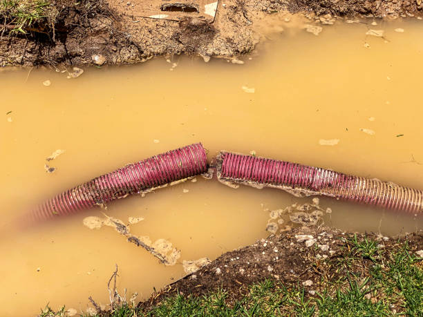 Best Water damage contractors near me  in Orinda, CA