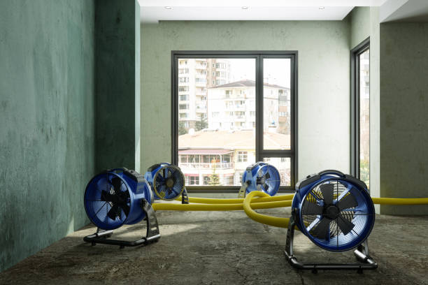 Best Water damage restoration near me  in Orinda, CA
